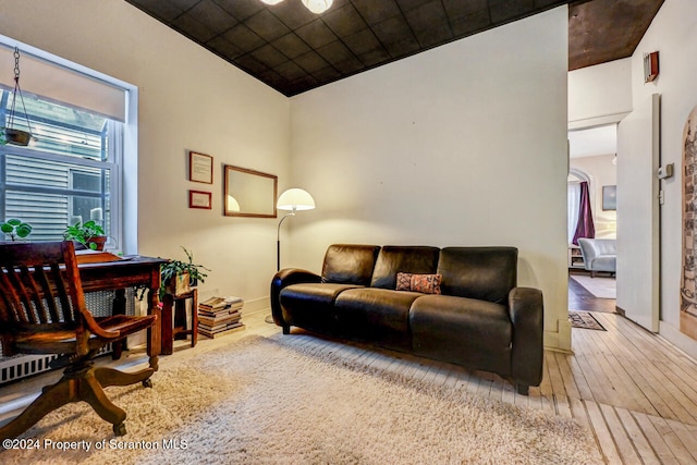 living room featuring hardwood / wood-style floors