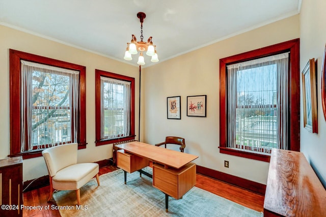 office area with hardwood / wood-style flooring and ornamental molding