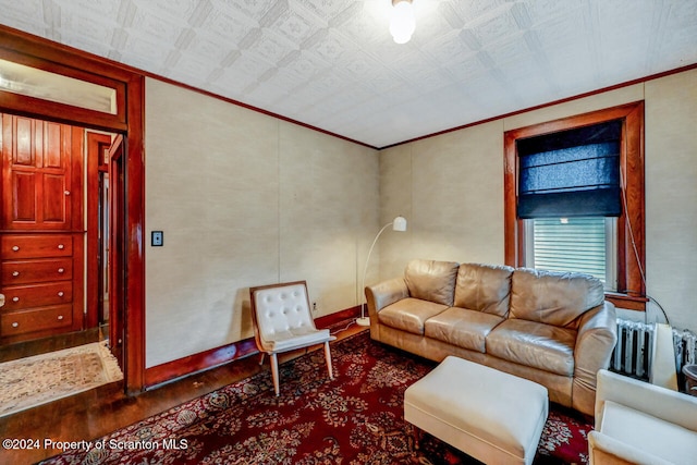 living room with dark hardwood / wood-style flooring