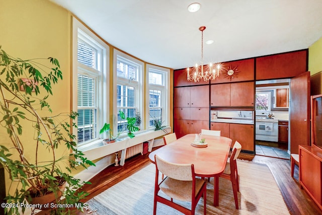 dining room with a notable chandelier and hardwood / wood-style flooring