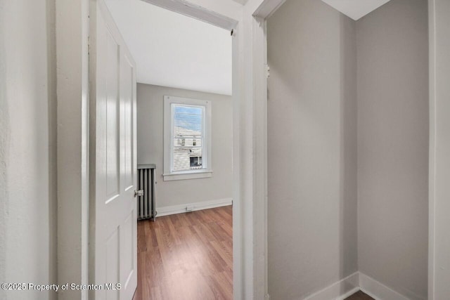 336 Birch St, Scranton, PA 18505 - photo 30
