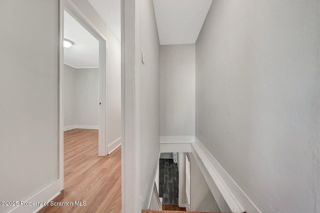 336 Birch St, Scranton, PA 18505 - photo 29