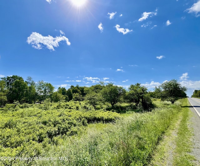 9755 State Route 171, Union Dale, PA 18470 - photo 7