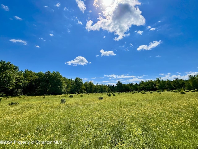 9755 State Route 171, Union Dale, PA 18470 - photo 16