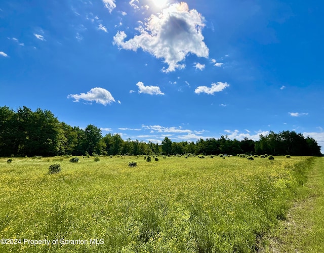 9755 State Route 171, Union Dale, PA 18470 - photo 2