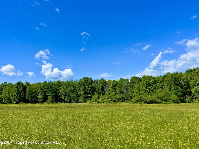 9755 State Route 171, Union Dale, PA 18470 - photo 4