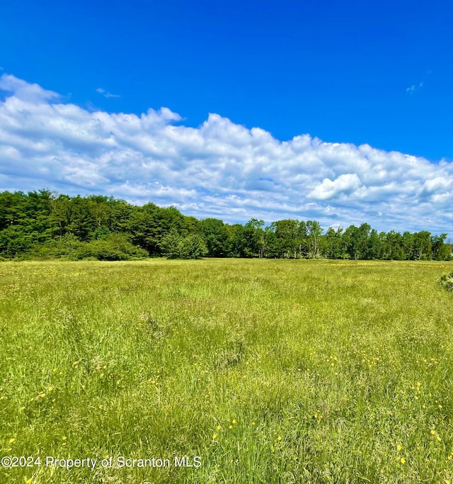 9755 State Route 171, Union Dale, PA 18470 - photo 26
