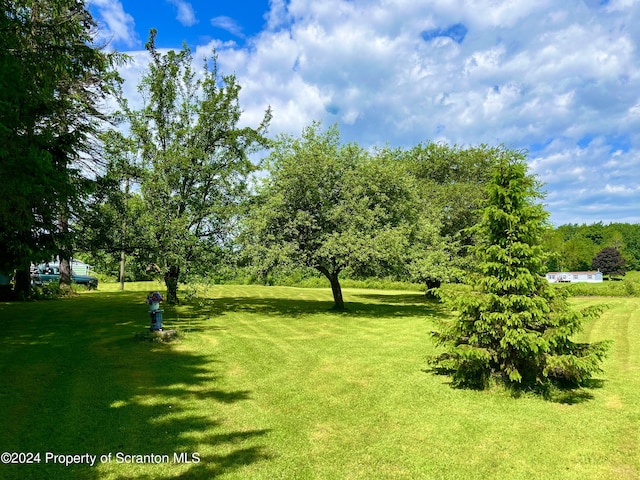 9755 State Route 171, Union Dale, PA 18470 - photo 10