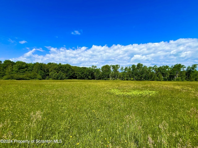 9755 State Route 171, Union Dale, PA 18470 - photo 19