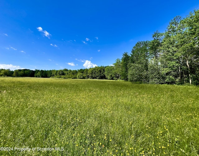 9755 State Route 171, Union Dale, PA 18470 - photo 1