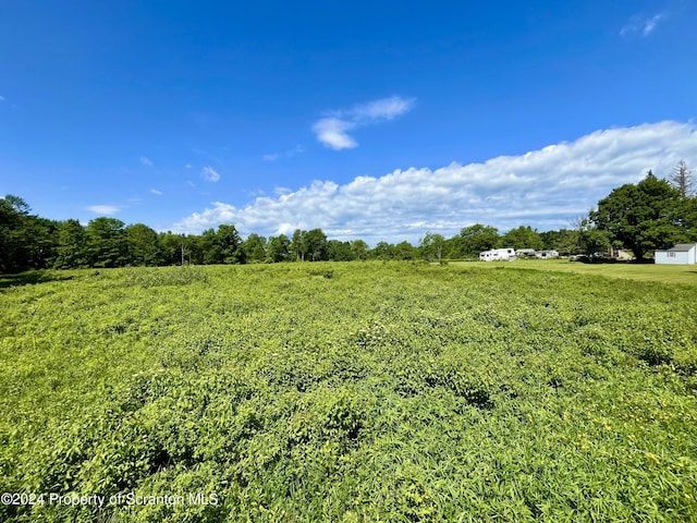 9755 State Route 171, Union Dale, PA 18470 - photo 15