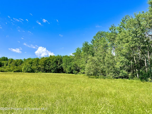 9755 State Route 171, Union Dale, PA 18470 - photo 12