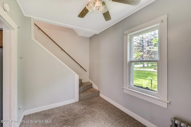 2634 Swetland St, Scranton, PA 18504 - photo 24