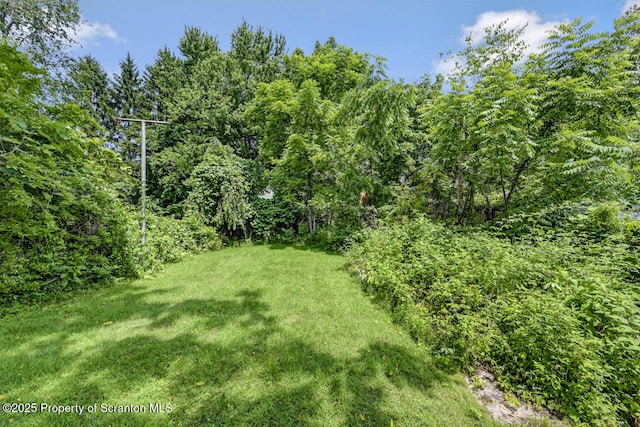 2634 Swetland St, Scranton, PA 18504 - photo 40