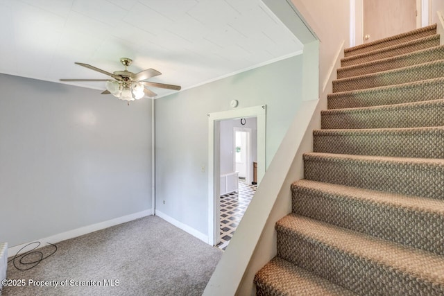 2634 Swetland St, Scranton, PA 18504 - photo 26