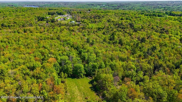 87 Goose Pond Rd, Lake Ariel, PA 18436