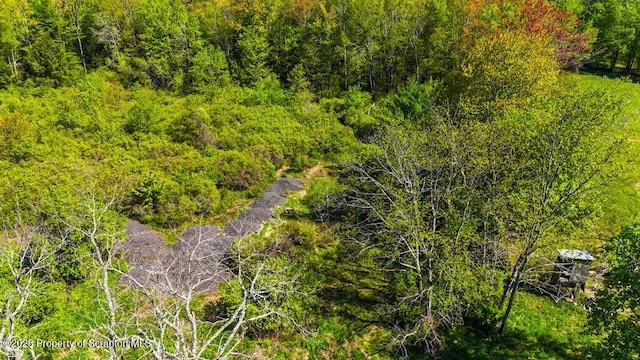 87 Goose Pond Rd, Lake Ariel, PA 18436