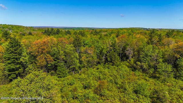 87 Goose Pond Rd, Lake Ariel, PA 18436