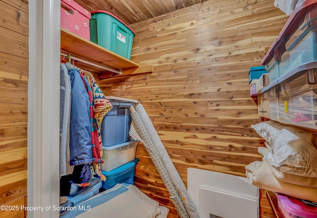 1017 Willow St Unit L14-15, Scranton, PA 18505 - view of spacious closet