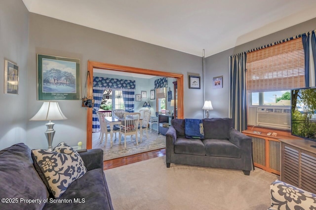 917 Willow St, Scranton, PA 18505 - photo 6