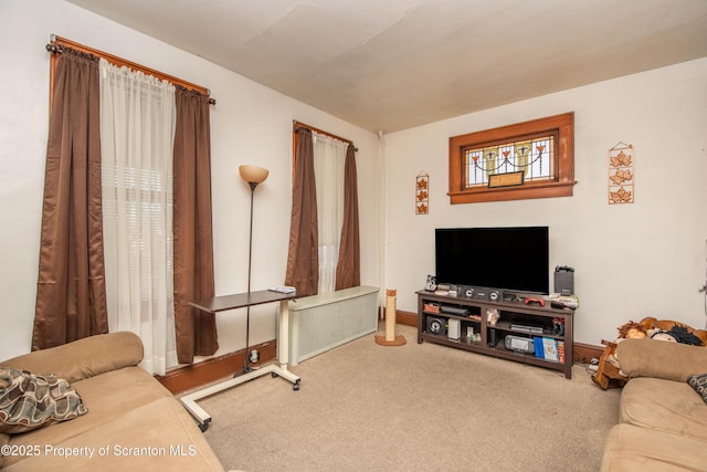 living area with carpet floors