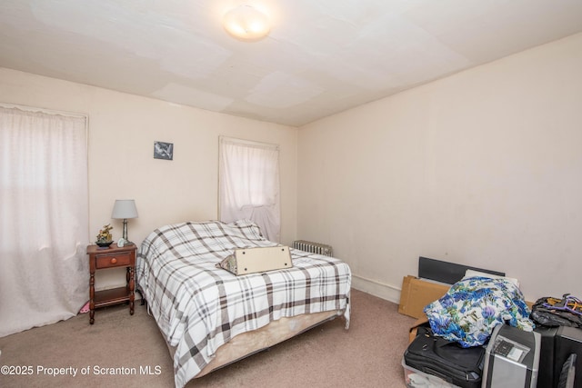 bedroom with carpet