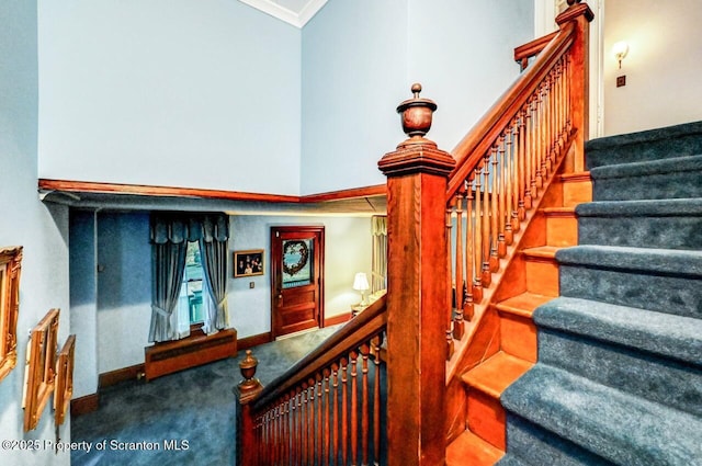 stairway with crown molding and carpet