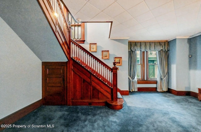 stairway featuring carpet