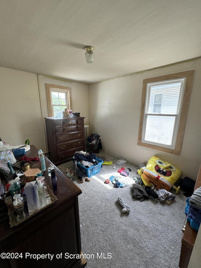 bedroom with carpet