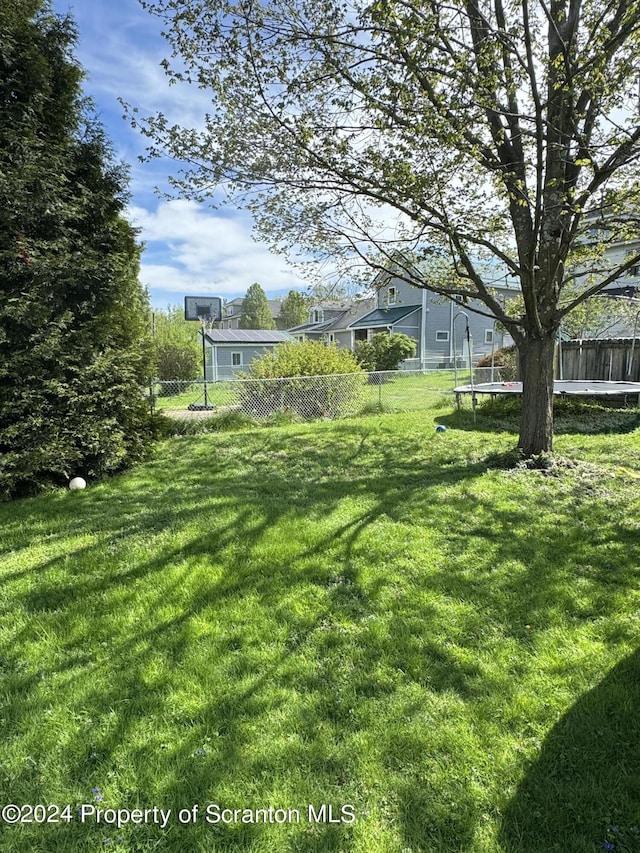 view of yard featuring a trampoline