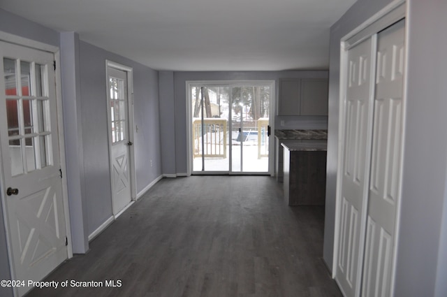 interior space with dark hardwood / wood-style floors