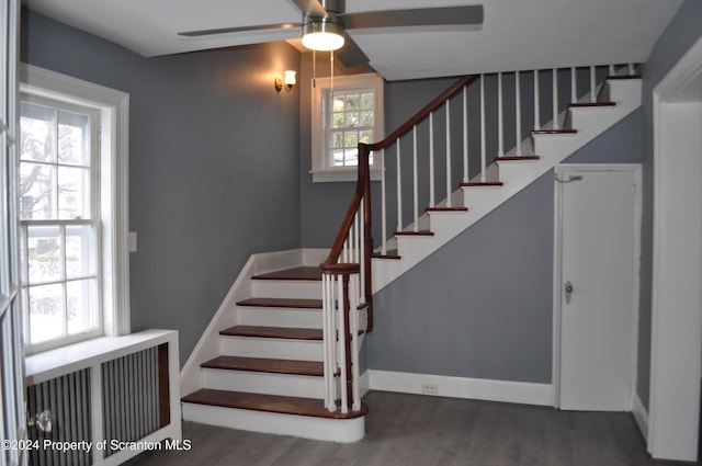 stairway featuring ceiling fan, radiator heating unit, and hardwood / wood-style flooring