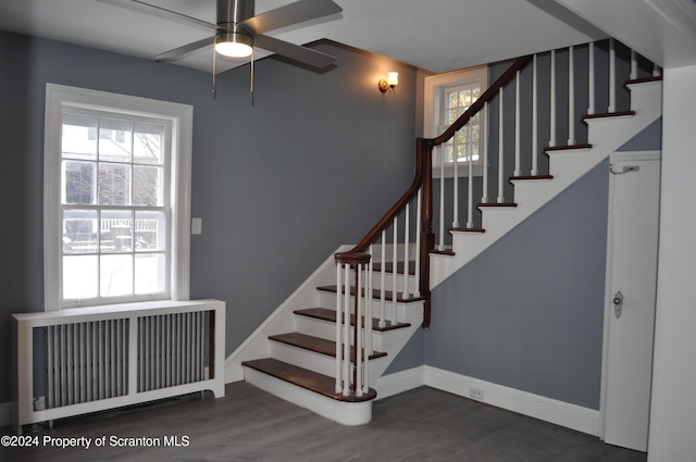 stairs with radiator heating unit, hardwood / wood-style flooring, and ceiling fan