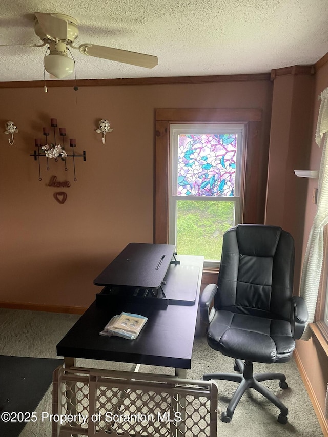 841 Hill St, Archbald, PA 18403 - home office with carpet floors, healthy amount of natural light, ceiling fan, a textured ceiling, and baseboards