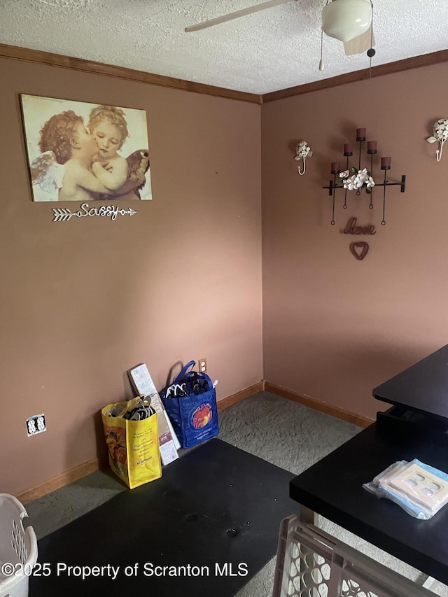 841 Hill St, Archbald, PA 18403 - unfurnished office with crown molding, a textured ceiling, baseboards, and carpet