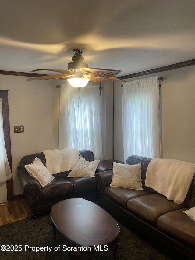 841 Hill St, Archbald, PA 18403 - living room featuring a ceiling fan, healthy amount of natural light, crown molding, and wood finished floors
