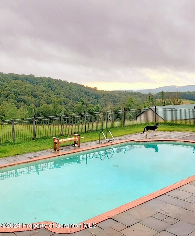 view of pool featuring a patio