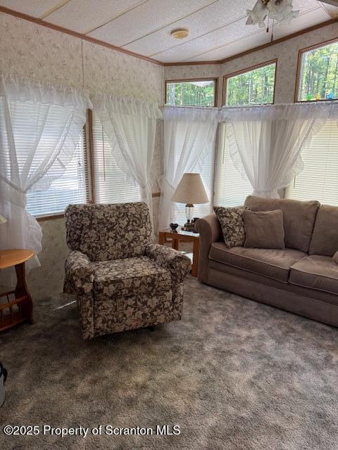 153 Birch Ter, Covington Twp, PA 18424 - photo 9