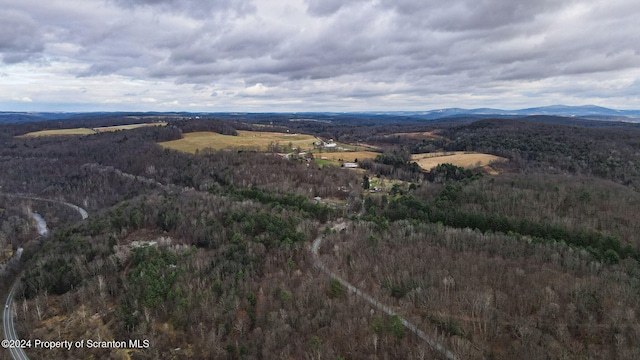 bird's eye view featuring a mountain view