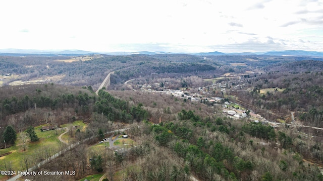 aerial view with a mountain view