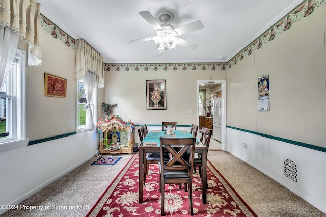 dining area featuring carpet flooring, ceiling fan, and crown molding