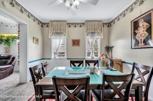 dining area featuring carpet flooring, ceiling fan, and ornamental molding