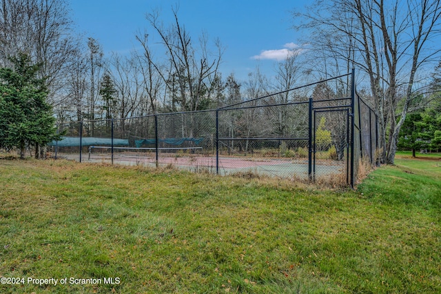 149 Lincoln Green Ln, Newfoundland, PA 18445 - view of yard with tennis court