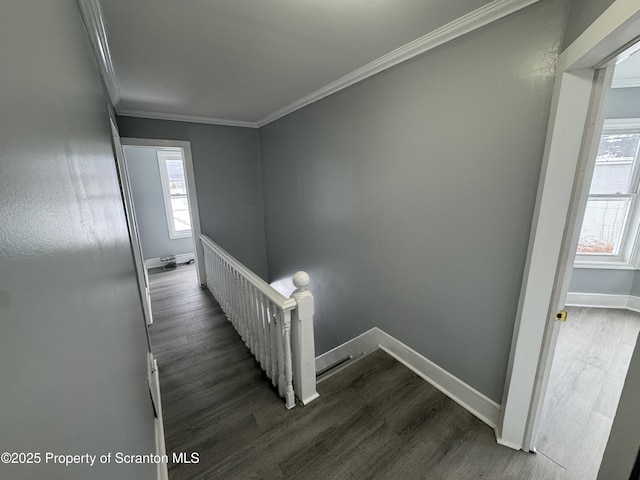 stairs featuring hardwood / wood-style flooring and ornamental molding