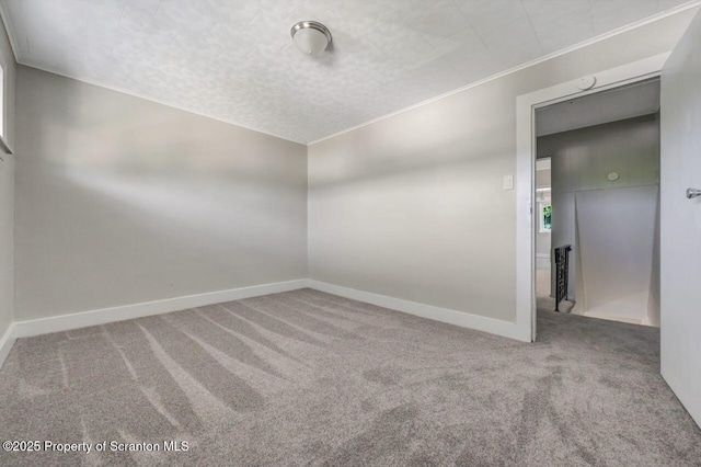 446 10th Ave, Scranton, PA 18504 - unfurnished room featuring carpet flooring and ornamental molding