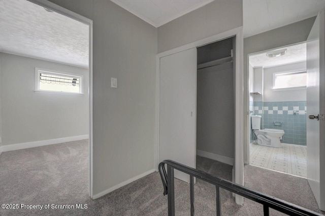 446 10th Ave, Scranton, PA 18504 - hall with carpet, healthy amount of natural light, and crown molding