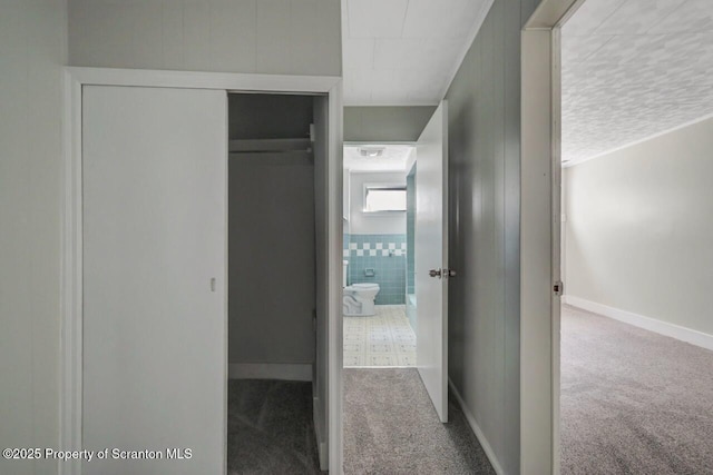 446 10th Ave, Scranton, PA 18504 - hall featuring carpet