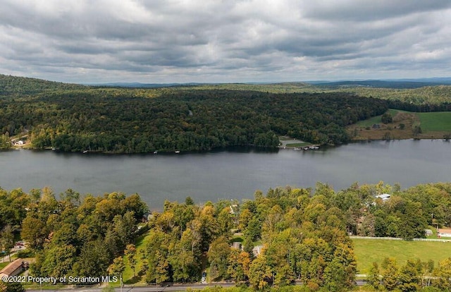 577 Duck Harbor Rd, Equinunk, PA 18417 - photo 5