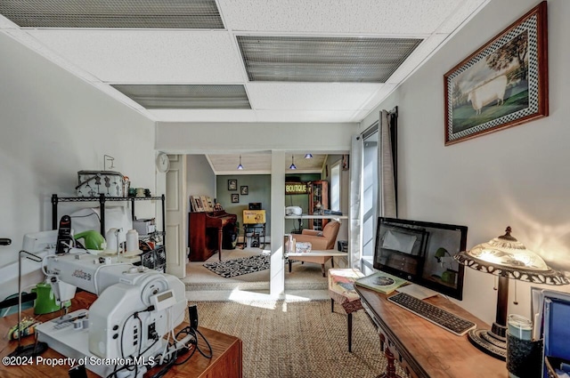 living room featuring carpet flooring and a paneled ceiling