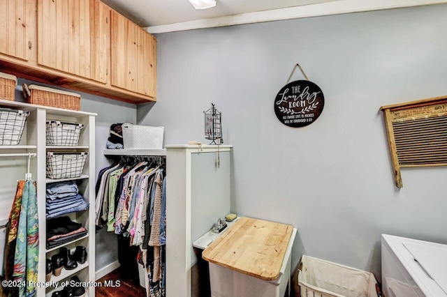 clothes washing area with cabinets